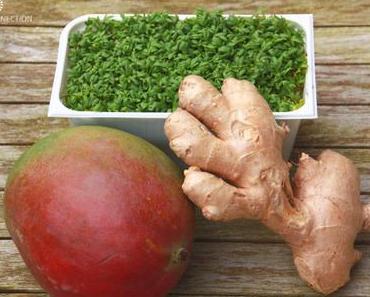 #BetterMyself2015 Rezepte: Möhren-Mango-Suppe