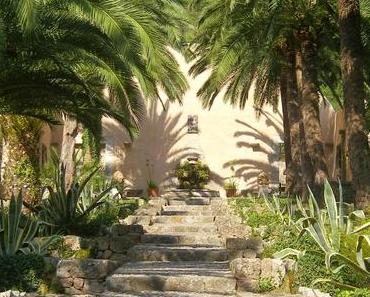 Entscheidungsfindung*