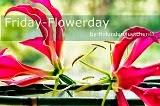 Friday flowerday