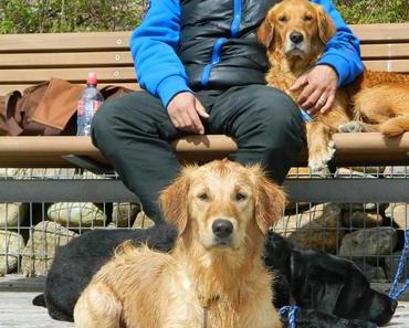 Pigmente haschen …