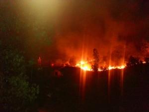 In Sihanoukville wird ein ungenutztes Grundstück abgebrannt.