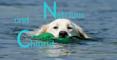 Natrium und Chlorid
