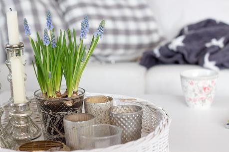 Frühling. Zumindest drinnen