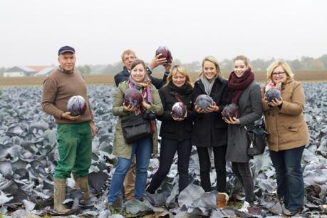 Wie kommt der Rotkohl ins Glas? Eine Blogreise zu Kühne