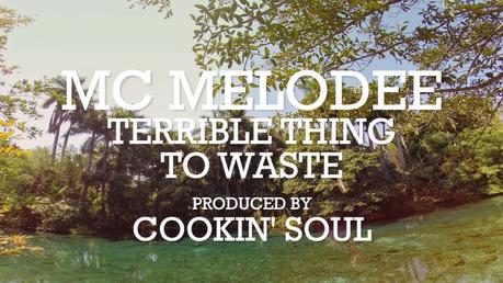 MC Melodee – Terrible Thing to Waste