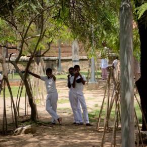 Anuradhapura: Ein 2.000 Jahre alter Bodhi-Baum in der alten Königsstadt