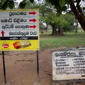 Anuradhapura: Ein 2.000 Jahre alter Bodhi-Baum in der alten Königsstadt