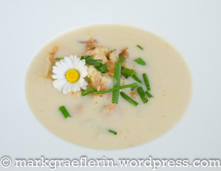 Spargelcreme Suppe 1