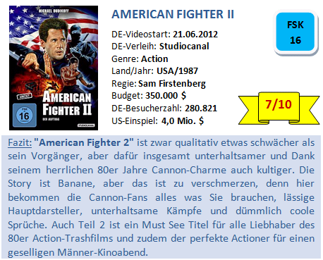 American Fighter 2 - Bewertung