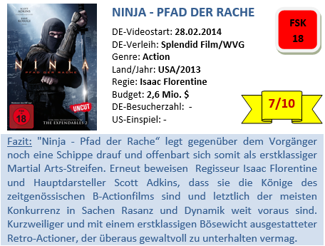 Ninja 2 - Bewertung