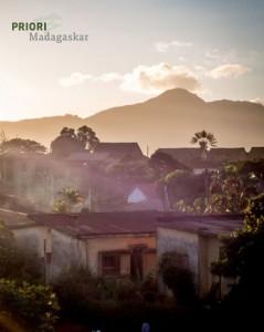 Ambalavao Baum des Reisenden Sonnenuntergang Madagaskar