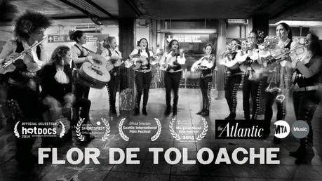 Flor de Toloache – Eine Mariachi Band aus Frauen