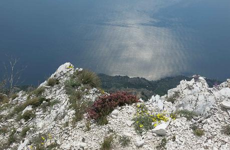 Gardasee-Ausblick-Bocca-Larici
