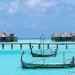 Maldivian sailboats Dhoni