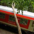 Bahnunfall Bad Malente - 20 Meter Baum stürzt auf Regionalexpress@Bundespolizei