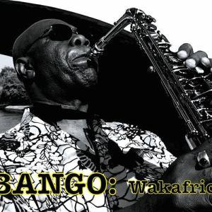 Special Session about Manu Dibango Wakafrika Funk !