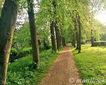 12 von 12 – Mai 2015