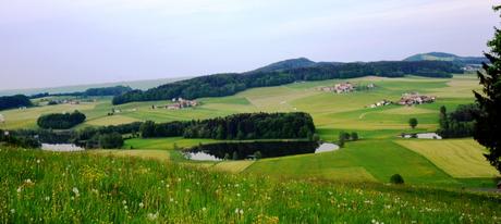 Panoramablick vom Buchberg auf die Egelseen in Mattsee fotografiert am 12.05.2015