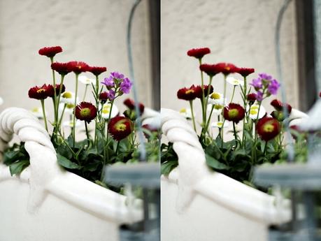 Collage eines Blumentopfs an der Haustür { by it's me! }