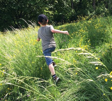 Kinder und Natur: Das gesunde Spiel im hohen Gras
