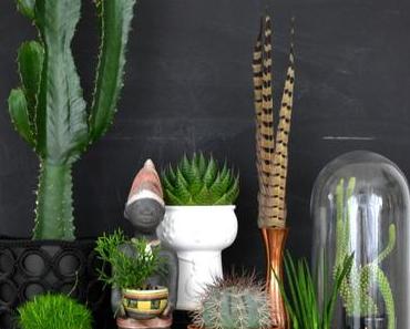 Urban Jungle Bloggers: My Plant Gang