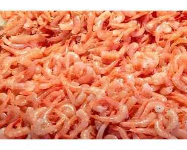Garnelen, eine mediterrane Delikatesse