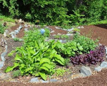 Kräuter- und Heilpflanzengarten