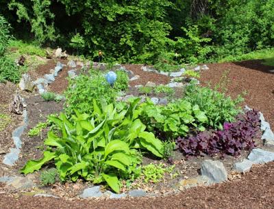 Kräuter- und Heilpflanzengarten