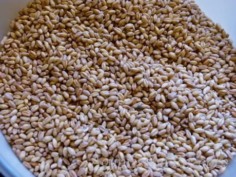 Belila Ägyptischer Weizen Rezept Zubereitung kochen