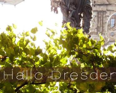 Die letzten Sonnenstrahlen einfangen - Dresden