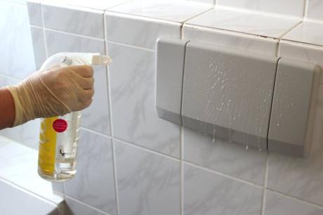 Der Hygiene-Reiniger ist für uns essentiell zum Putzen des WCs