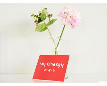 Dole Energy Day 2015: Bist Du energetisch insolvent?