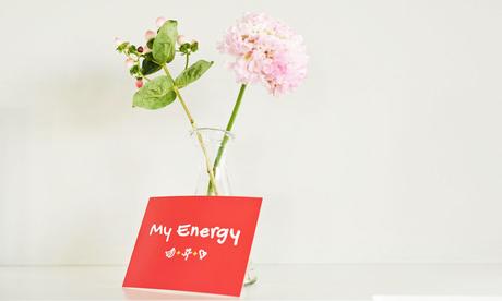 Dole Energy Day 2015: Bist Du energetisch insolvent?
