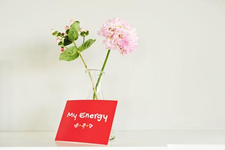 Dole Energy Day 2015: Bist Du energetisch insolvent?