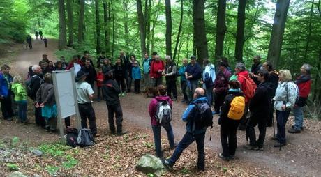 Die erste Ranger-Tour im Nationalpark Hunsrück-Hochwald – der Keltenwall