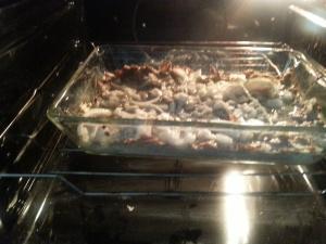 Classic Paleo: Meatzza (Hackfleischpizza)