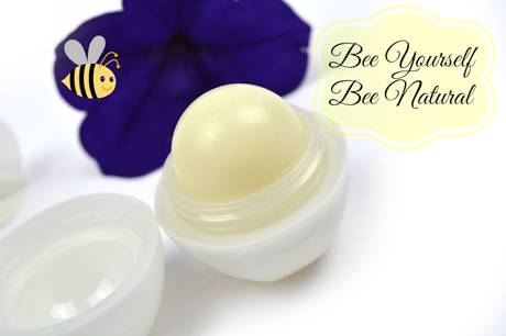 [NEU & DUPE?] Review: Bee Natural Lip Ball Vanille & Cocos