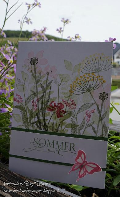 Sommerwiese
