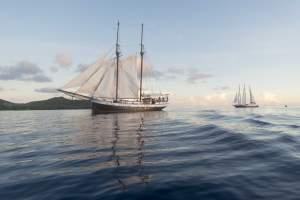 Zum 100. Geburtstag der »Sea Pearl« mit Silhouette Cruises zu drei neuen Dive Safaris im Inselparadies der Seychellen starten