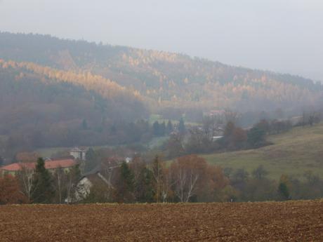 Diesiger Novembermorgen in Rengshausen/Knüllwald